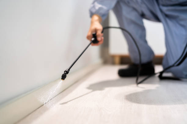 Licensed Pest Control service in Derry, PA - Show Me Pest Control